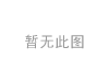 减振器 Shock Absorber:48530-09R60