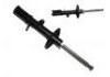 Shock Absorber:4854002120