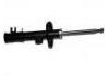 Shock Absorber:13214358