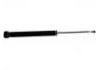 Shock Absorber:KYB 343309