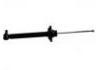 Shock Absorber:8D5513031